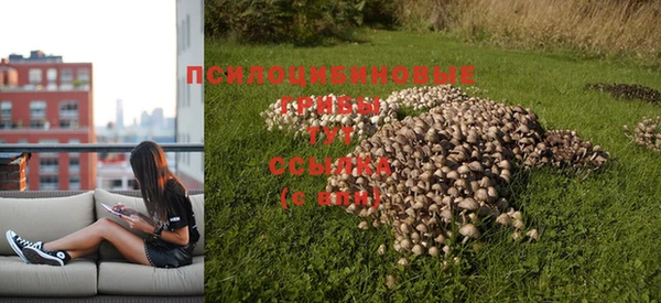 дмт Алексеевка