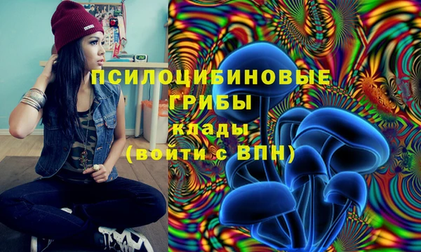 кокаин премиум Алексин