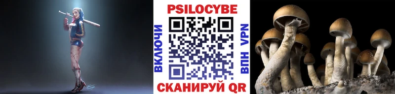 Псилоцибиновые грибы MAGIC MUSHROOMS Азнакаево